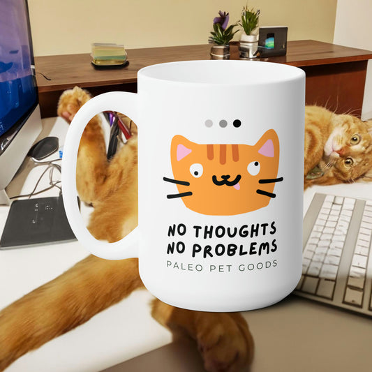 Ceramic Mug- No Thoughts No Problems